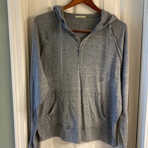 Alternative Earth men's lightweight hoodie